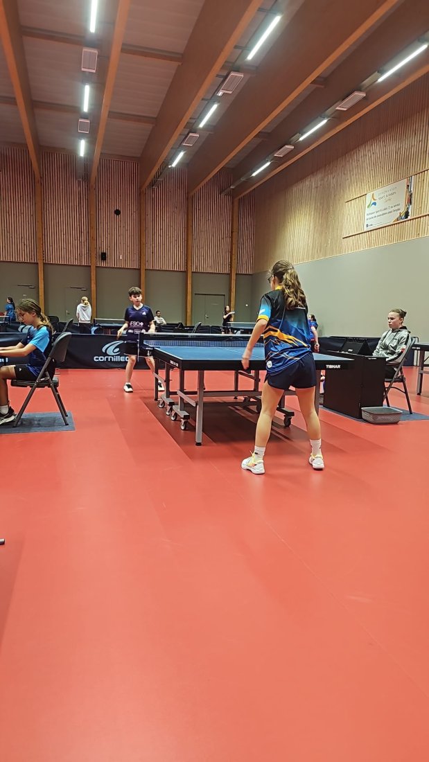 🏓 Critérium fédéral : 6 montées pour le LSV TT !